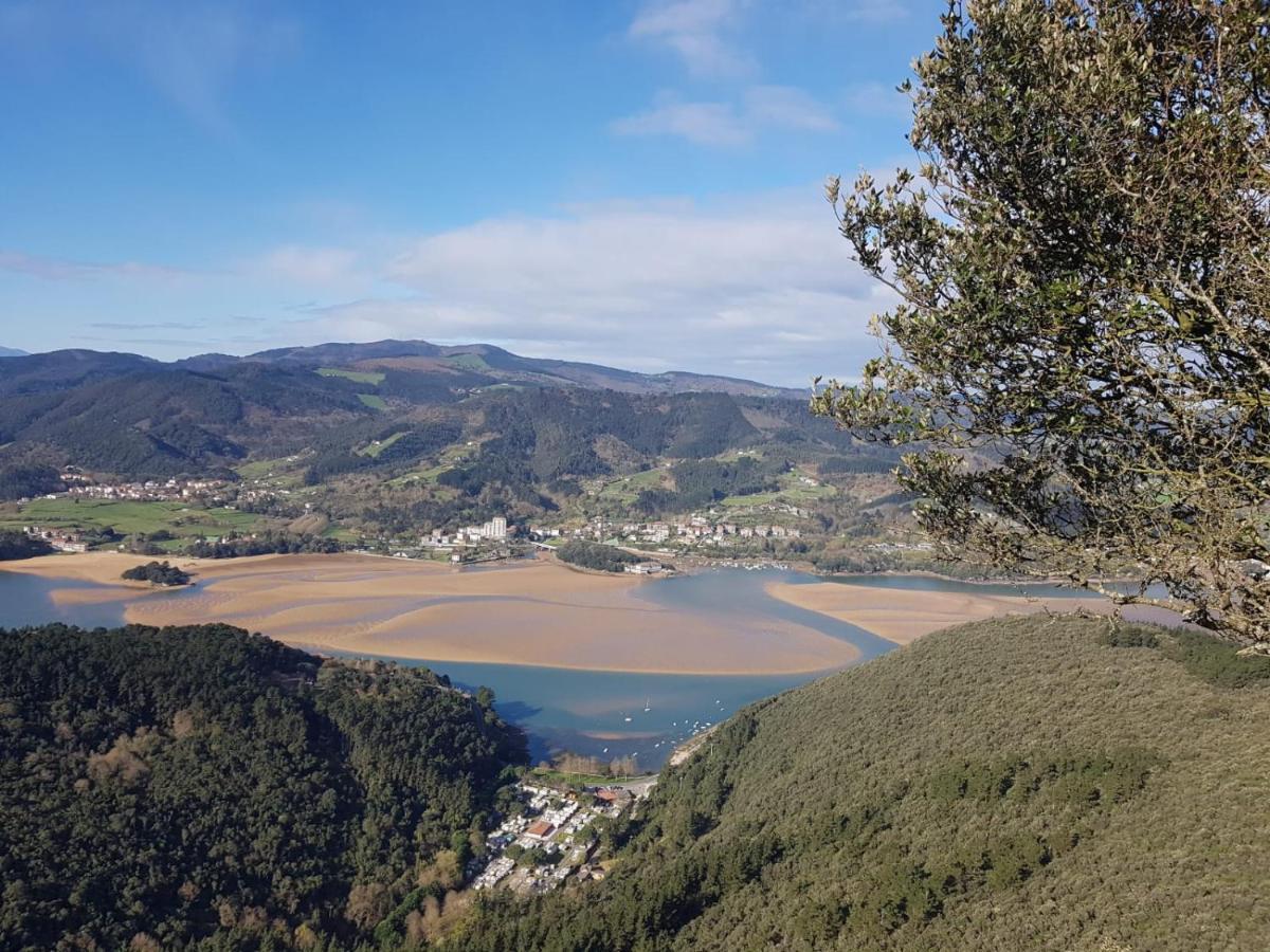 Gernika Urdaibai Daire Dış mekan fotoğraf