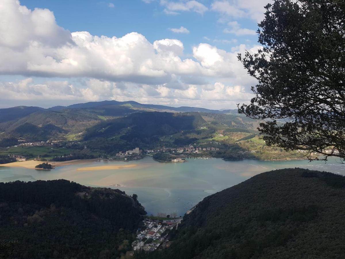 Gernika Urdaibai Daire Dış mekan fotoğraf
