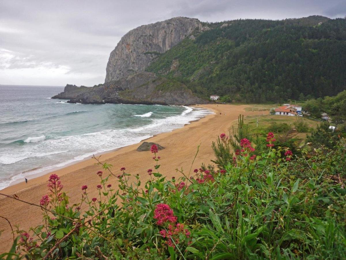 Gernika Urdaibai Daire Dış mekan fotoğraf